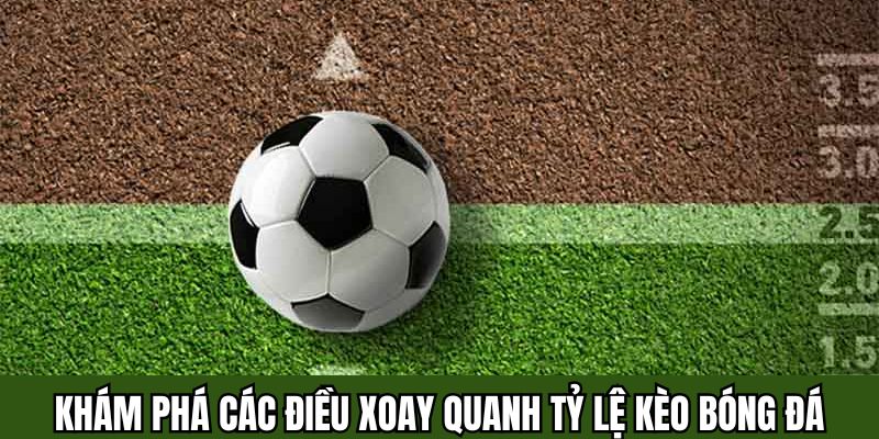 Khám phá các điều xoay quanh tỷ lệ kèo bóng đá